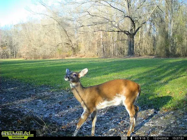 $7,201,000 | 5302 Bend Road, Vaughan, MS 39179