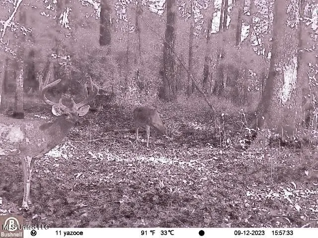 $7,201,000 | 5302 Bend Road, Vaughan, MS 39179