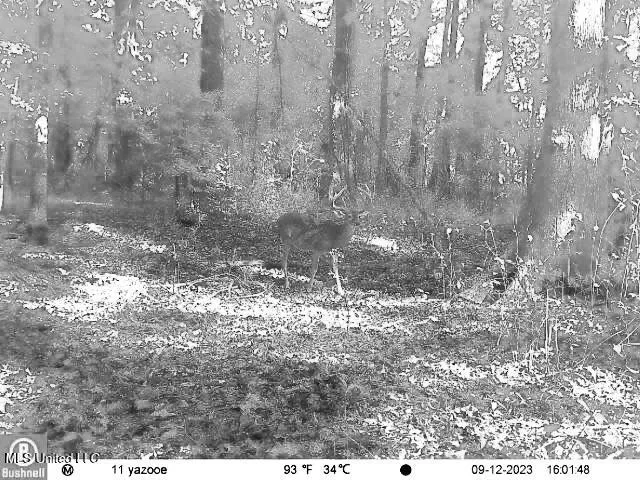 $7,201,000 | 5302 Bend Road, Vaughan, MS 39179