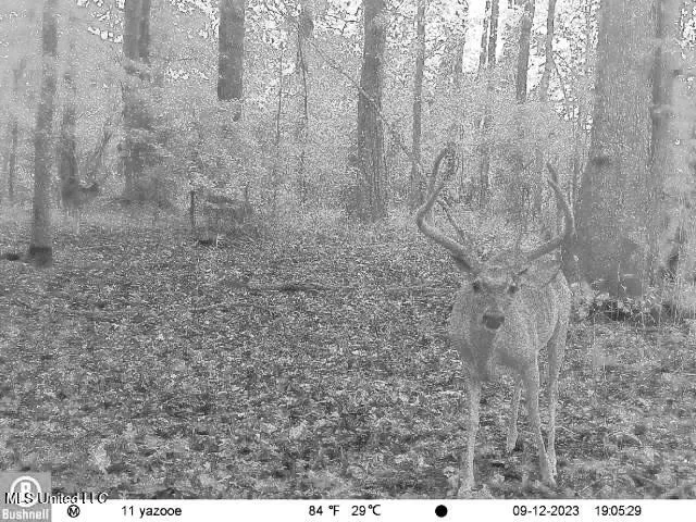 $7,201,000 | 5302 Bend Road, Vaughan, MS 39179