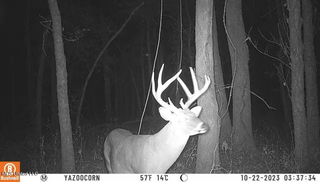 $7,201,000 | 5302 Bend Road, Vaughan, MS 39179