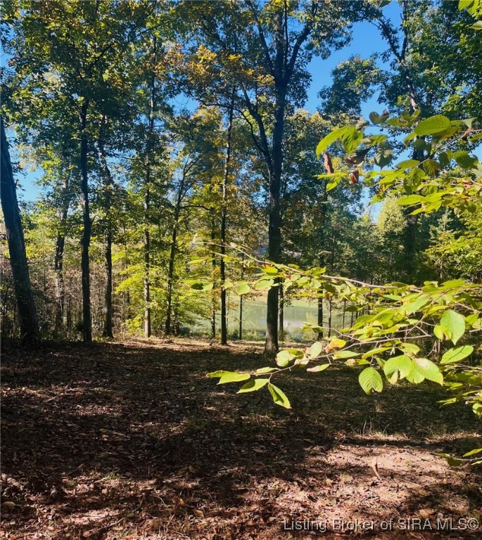 3250 South Wathen Road Pekin, IN 47165 - Photo 15 of 17