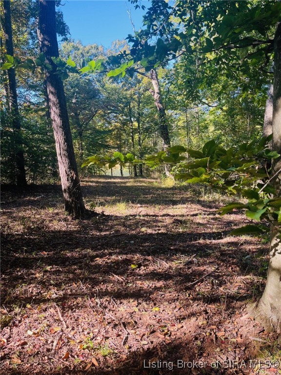 3250 South Wathen Road Pekin, IN 47165 - Photo 16 of 17