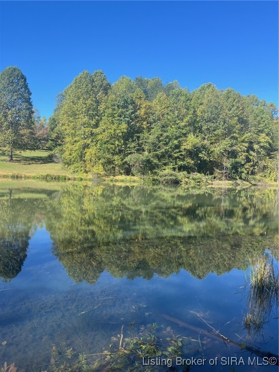 3250 South Wathen Road Pekin, IN 47165 - Photo 5 of 17