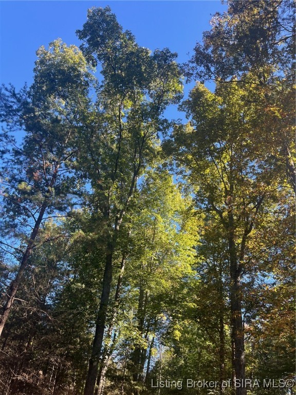 3250 South Wathen Road Pekin, IN 47165 - Photo 6 of 17