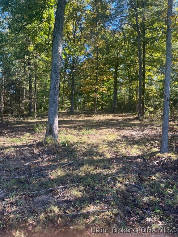 3250 South Wathen Road Pekin, IN 47165 - Photo 7 of 17