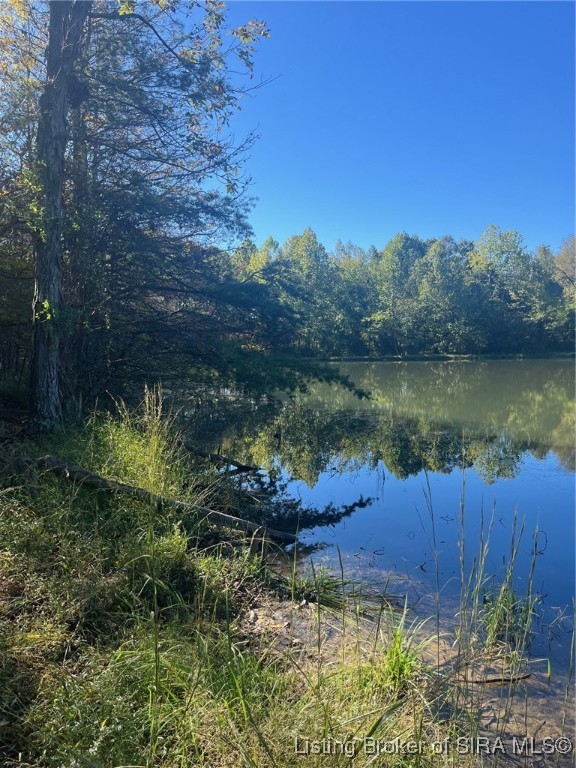 3250 South Wathen Road Pekin, IN 47165 - Photo 8 of 17