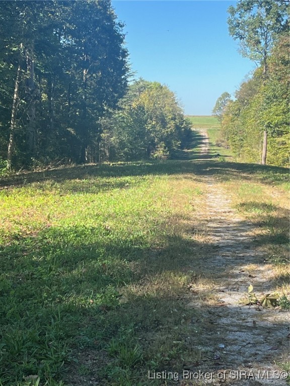 3250 South Wathen Road Pekin, IN 47165 - Photo 9 of 17