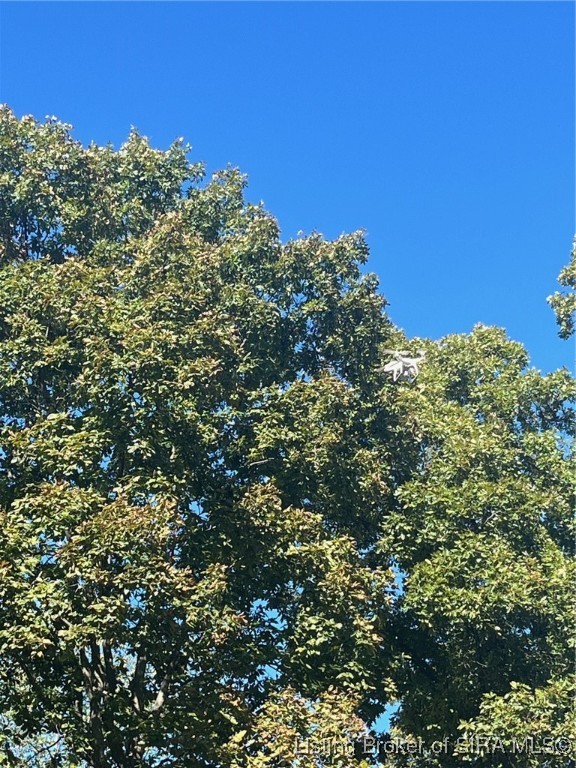 3250 South Wathen Road Pekin, IN 47165 - Photo 10 of 17