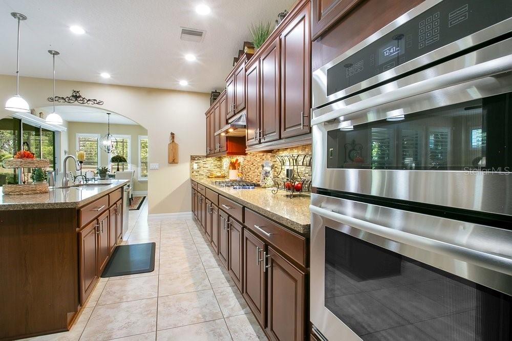 397 Silver Maple Road Groveland, FL 34736 - Photo 6 of 49