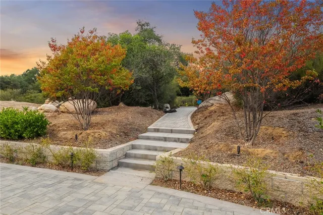 a view of a park with large trees