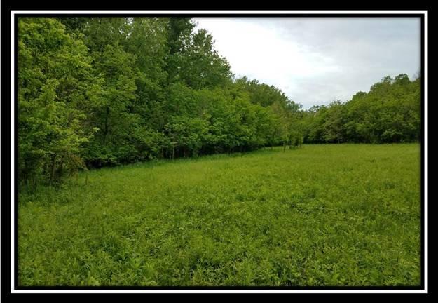 37351 Bashan Road Long Bottom, OH 45743 - Photo 3 of 8