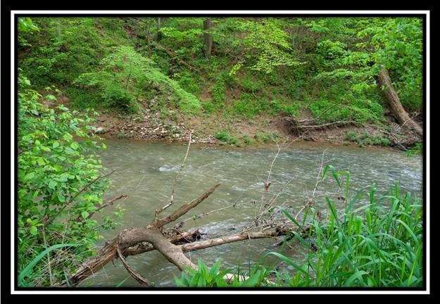 37351 Bashan Road Long Bottom, OH 45743 - Photo 4 of 8