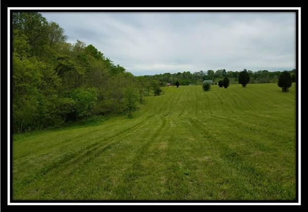 37351 Bashan Road Long Bottom, OH 45743 - Photo 8 of 8