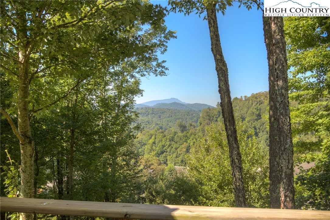 727 Junaluska Road Boone, NC 28607 - Photo 34 of 36 Gallery Image 34