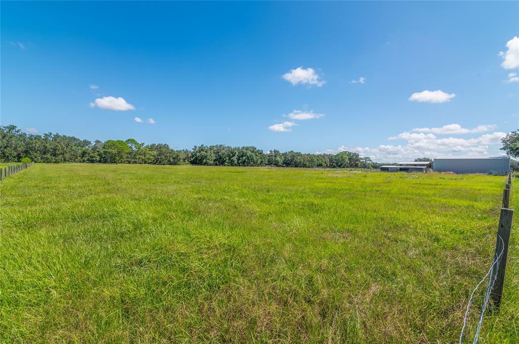 3933 Mammoth Grove Road Lake Wales, FL 33898 - Photo 4 of 61