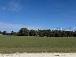 a view of a lake from a yard
