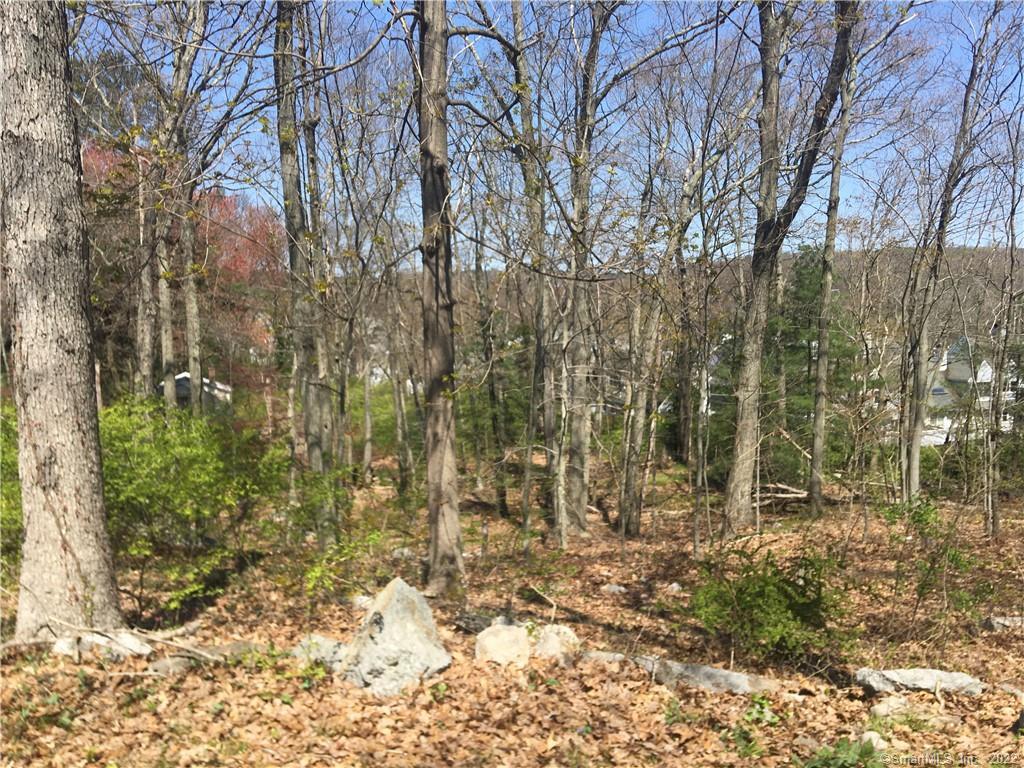 22 Horseshoe Road Wilton, CT 06897 - Photo 3 of 24 a backyard of a house with lots of green space