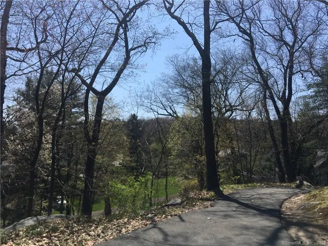 a view of a road with a trees