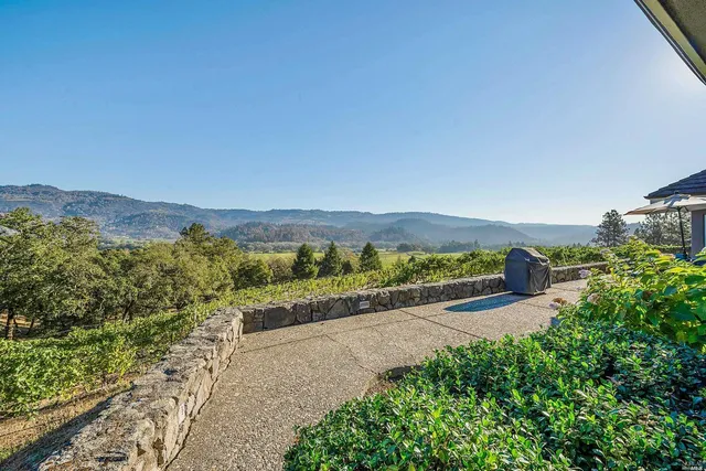 a view of a garden with a building in the background