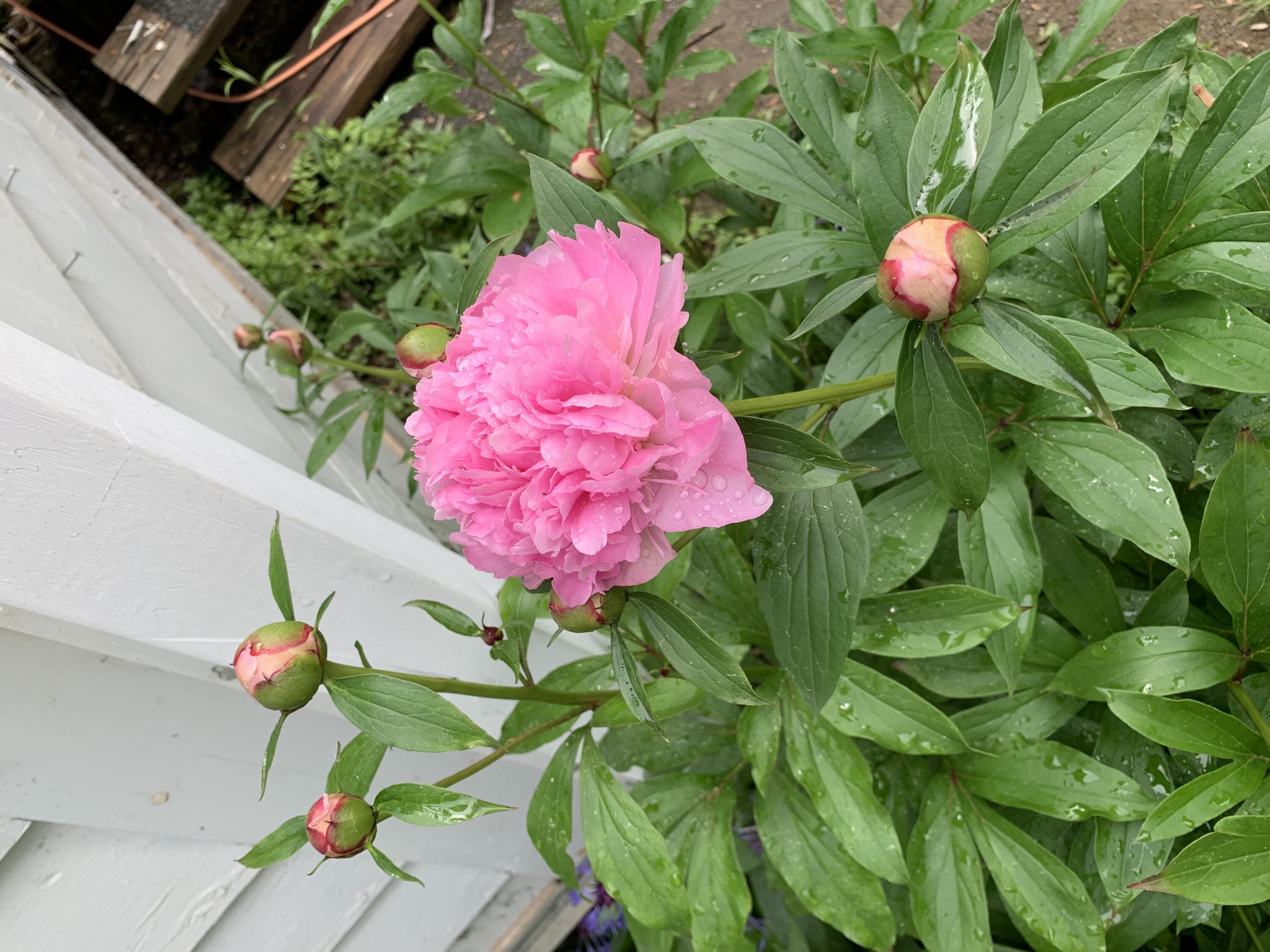 549 Hudson Road Glenburn, ME 04401 - Photo 32 of 40 IMG_3976