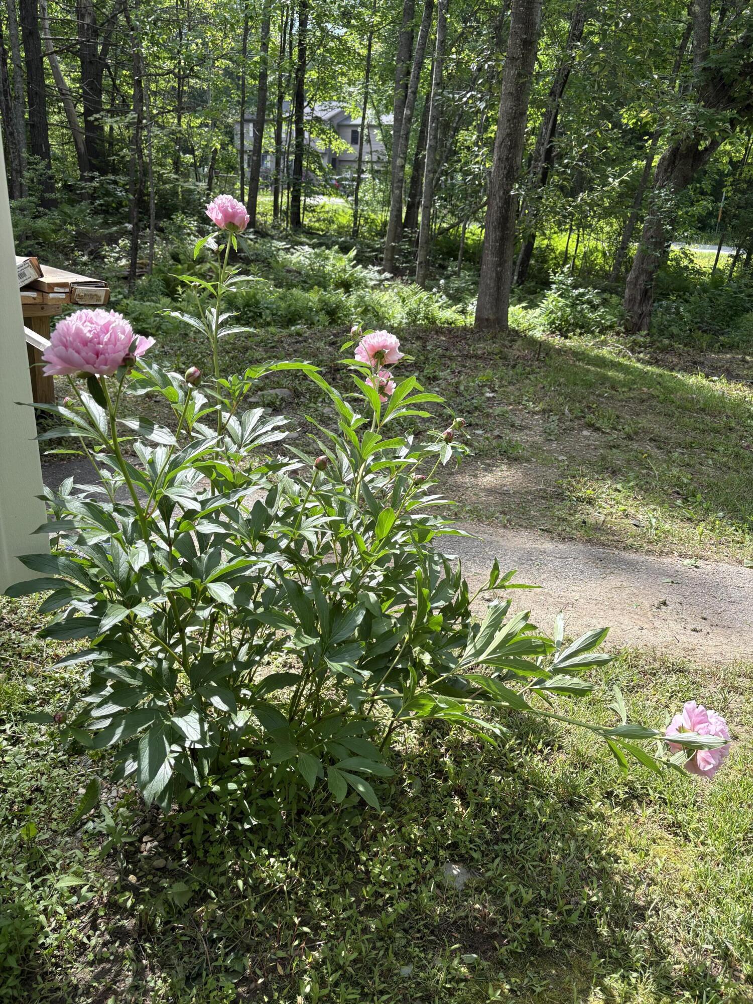 549 Hudson Road Glenburn, ME 04401 - Photo 33 of 40 IMG_5942