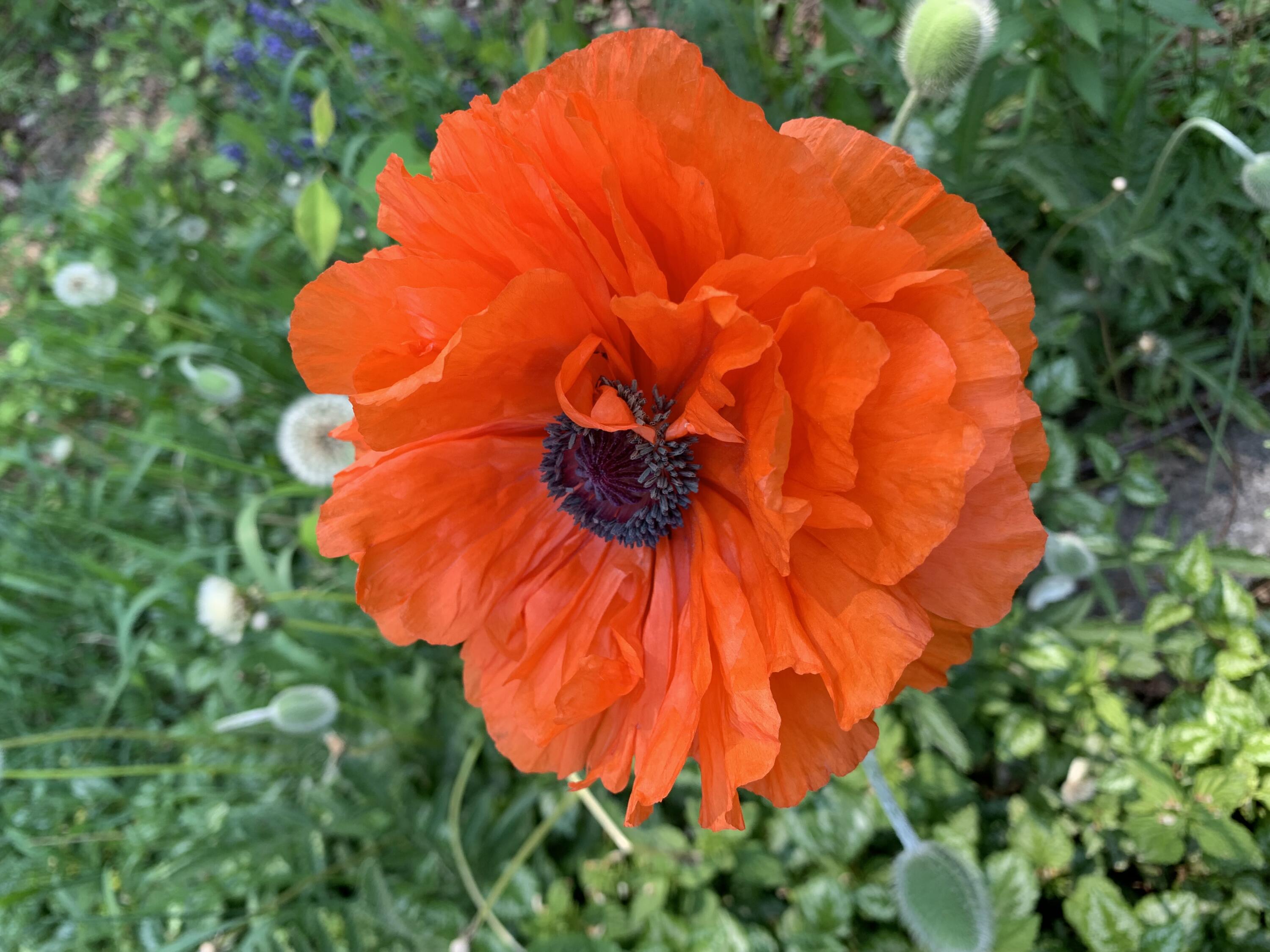 549 Hudson Road Glenburn, ME 04401 - Photo 34 of 40 IMG_3709