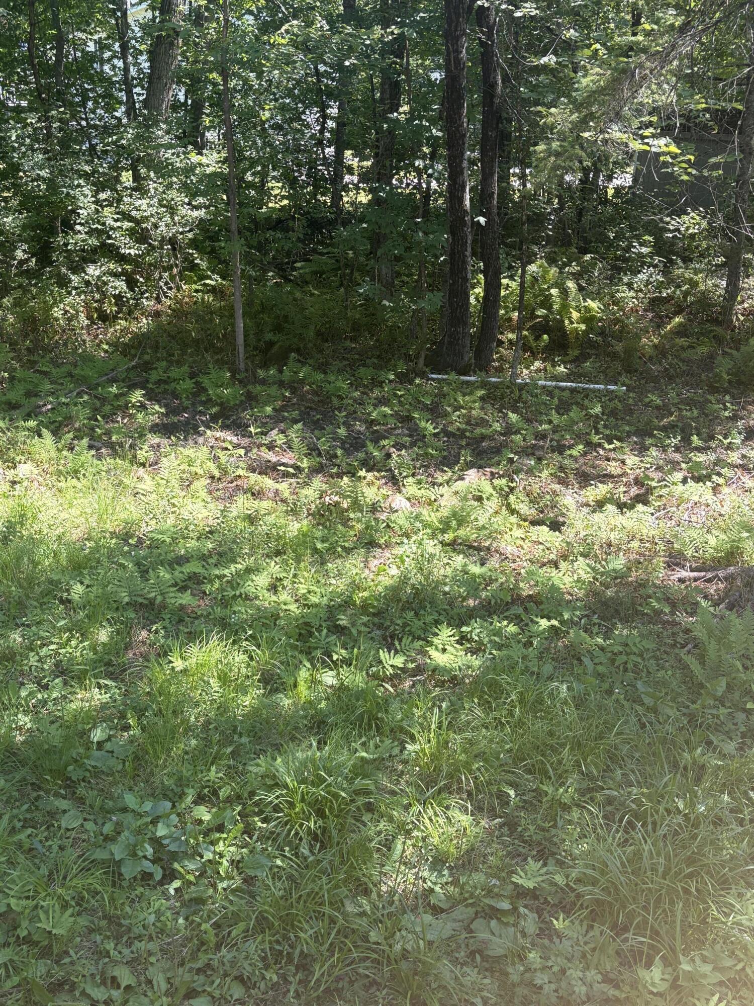 549 Hudson Road Glenburn, ME 04401 - Photo 40 of 40 (Upload-from-mobile-1755807043)IMG_6735