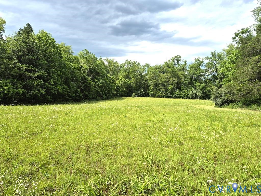0 Falkland Road Meherrin, VA 23954 - Photo 11 of 17