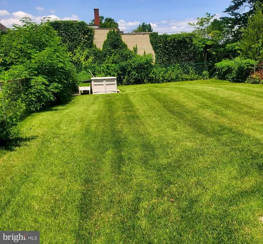 a view of a big yard with large trees