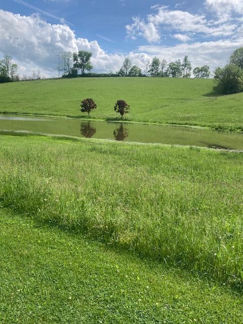 1069 Headquarters Road Carlisle, KY 40311 - Photo 11 of 18 IMG_9149