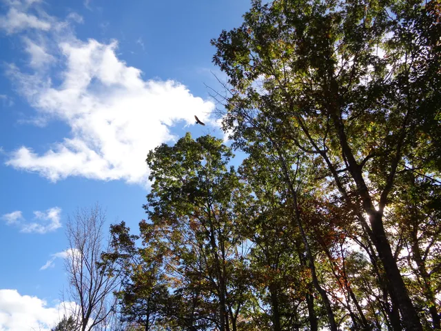 $245,000 | Lot 1-7 Manhattan Way, Falmouth, ME 04105