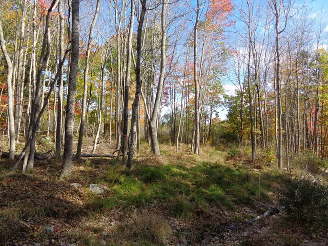 $245,000 | Lot 1-7 Manhattan Way, Falmouth, ME 04105
