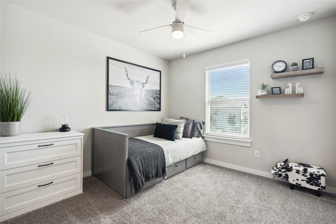 523 Powell Drive, Unit 1101 Leander, TX 78641 - Photo 15 of 24 Carpeted bedroom featuring ceiling fan and baseboards