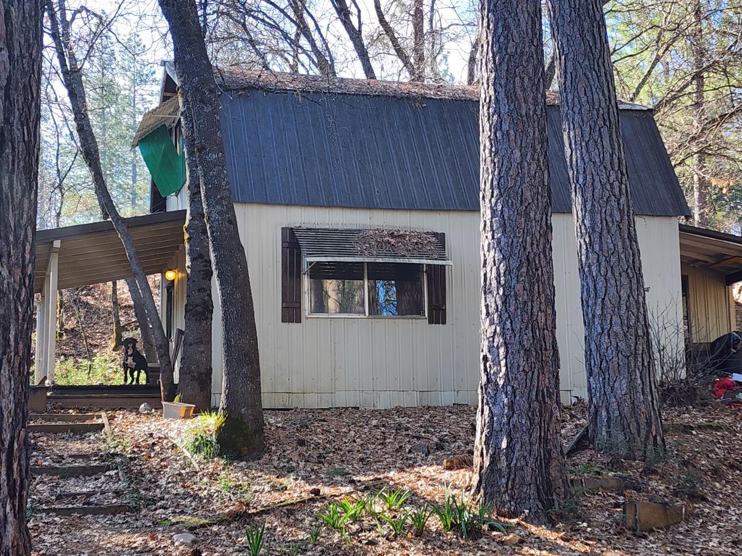 65 Railroad Flat Road Mokelumne Hill, CA 95245 - Photo 16 of 16