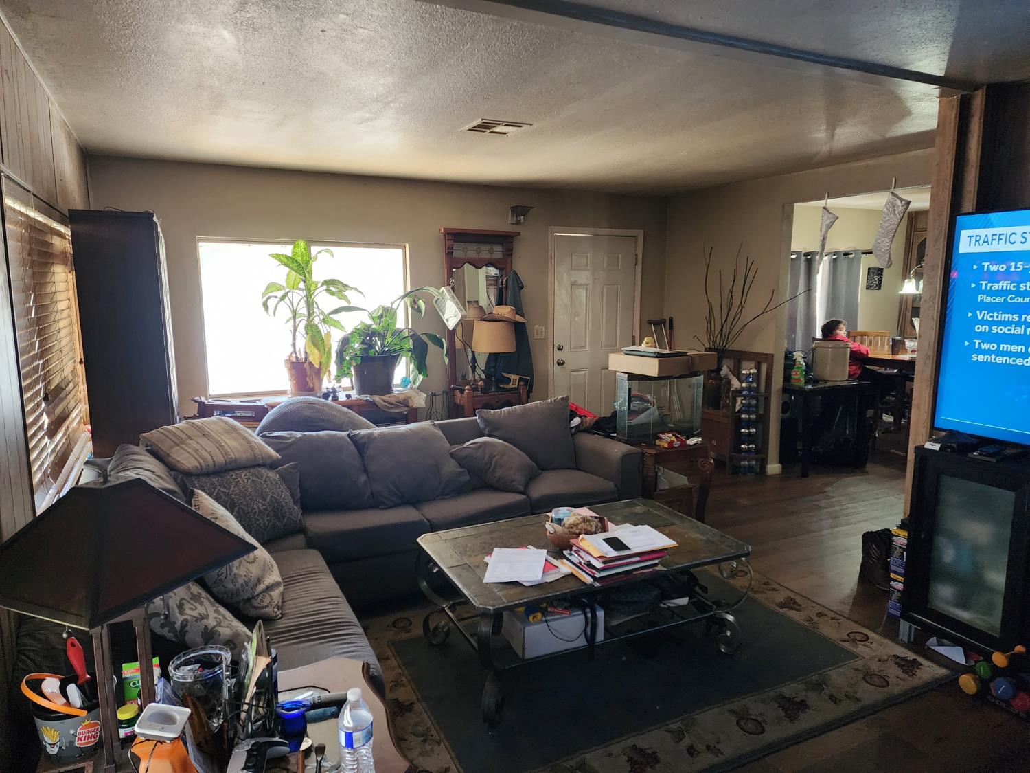 65 Railroad Flat Road Mokelumne Hill, CA 95245 - Photo 8 of 16