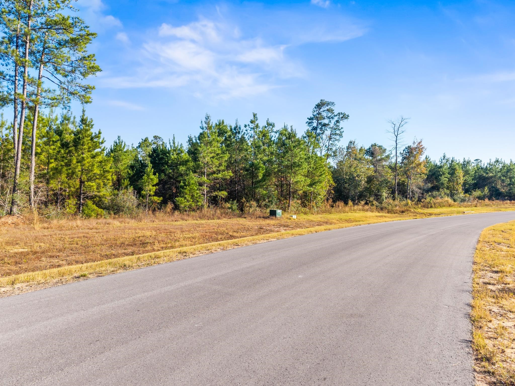 12696 Oak Barrel Road Willis, TX 77378 - Photo 11 of 19 a view of a swimming pool and an outdoor space