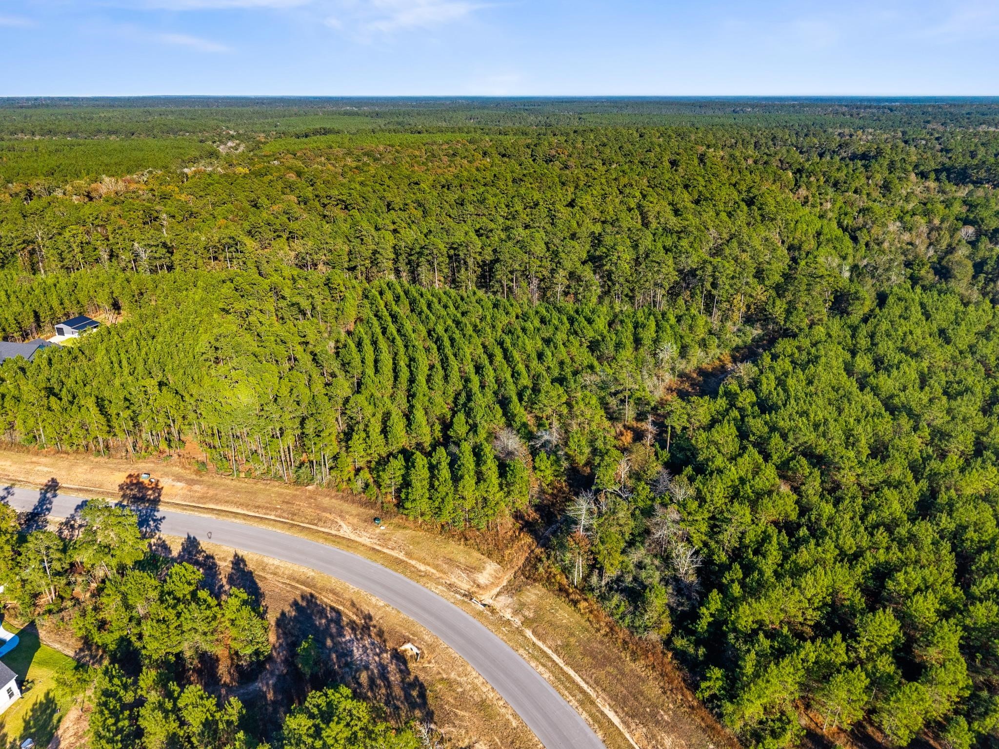 12696 Oak Barrel Road Willis, TX 77378 - Photo 5 of 19 a view of a yard with an outdoor space