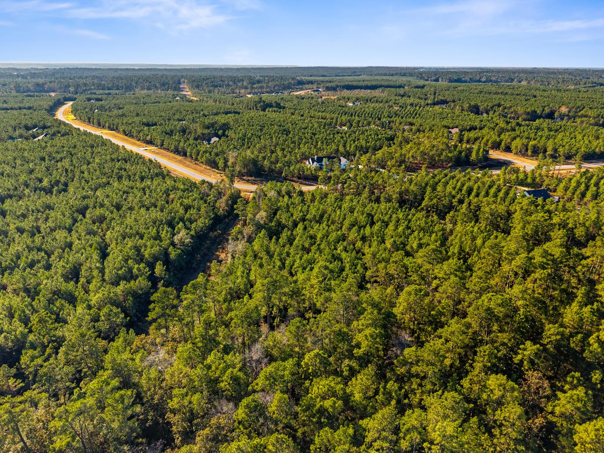12696 Oak Barrel Road Willis, TX 77378 - Photo 6 of 19 a view of a city and an ocean