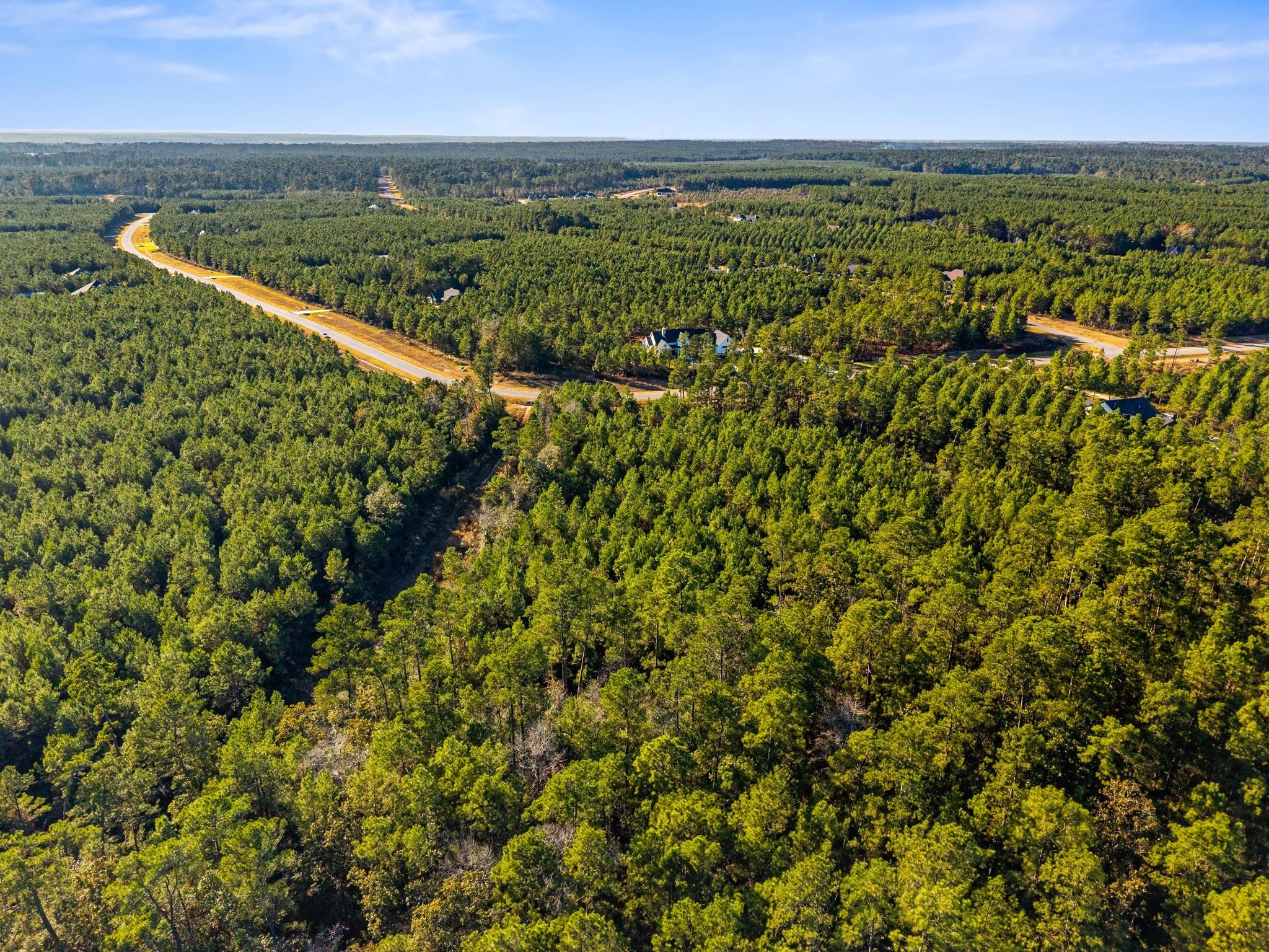 12696 Oak Barrel Road Willis, TX 77378 - Photo 6 of 19 a view of a city and an ocean