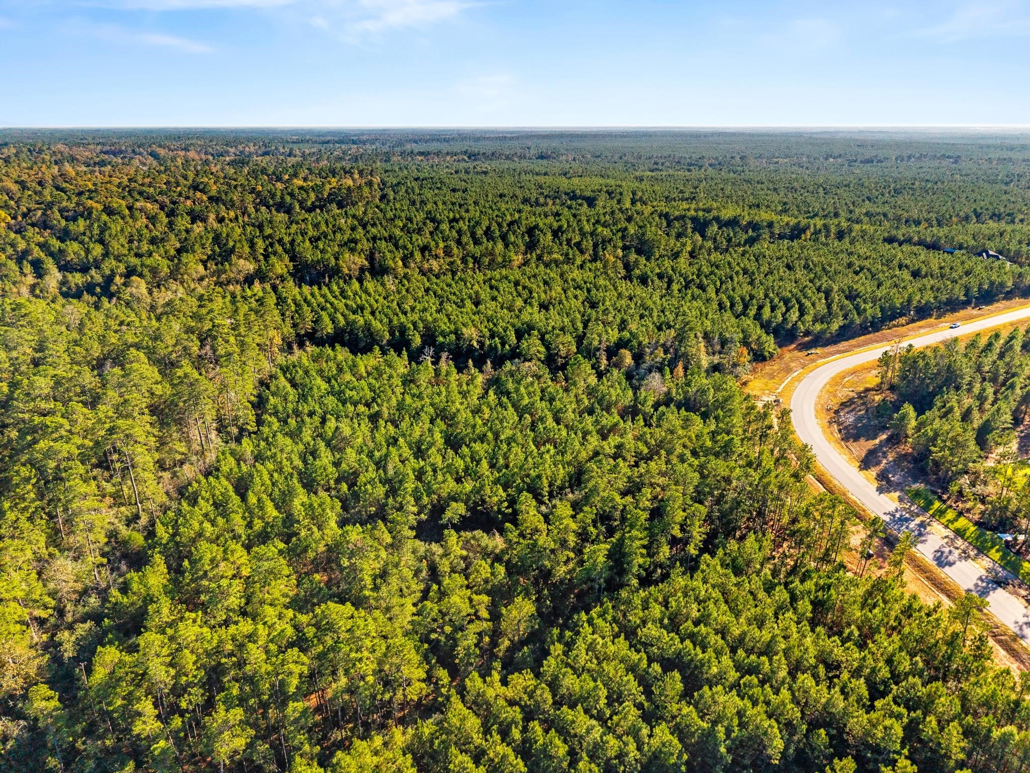 12696 Oak Barrel Road Willis, TX 77378 - Photo 8 of 19 view of a city