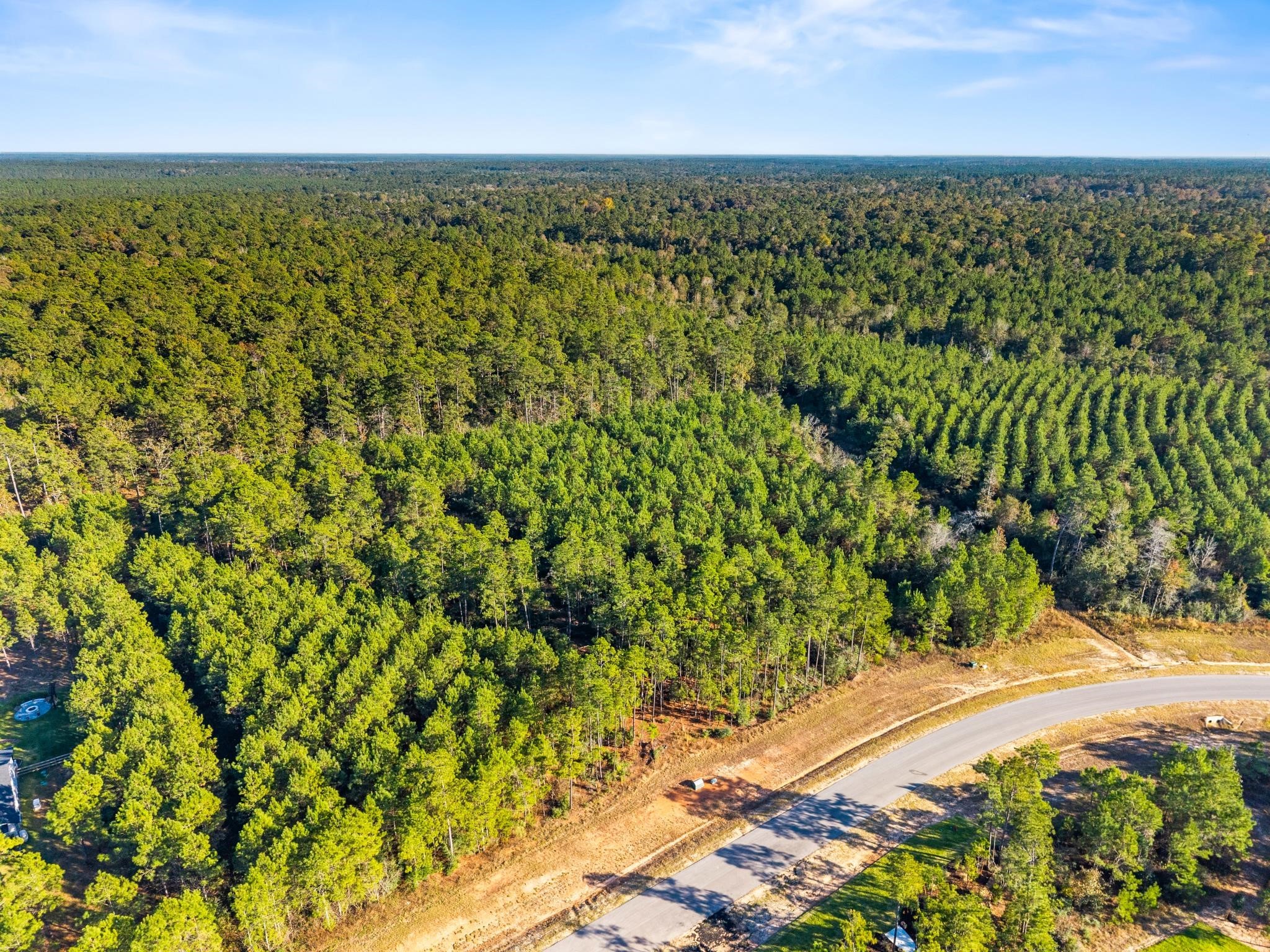 12696 Oak Barrel Road Willis, TX 77378 - Photo 9 of 19 a view of a yard with an outdoor space