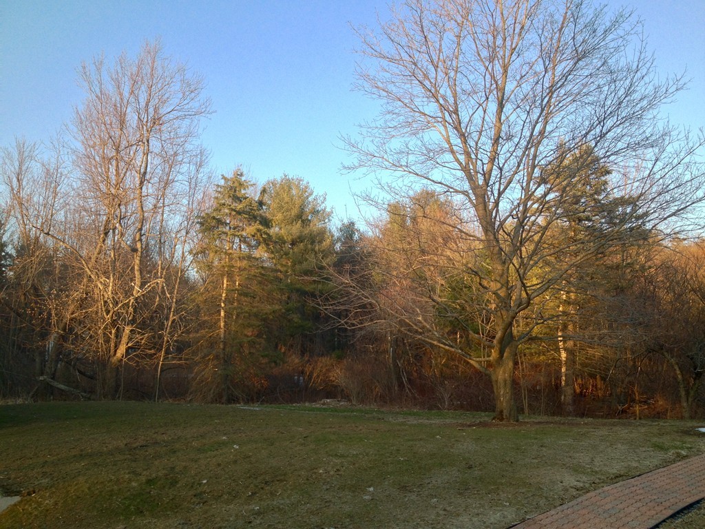 98 Narrows Road Westminster, MA 01473 - Photo 10 of 19 Gallery Image 10