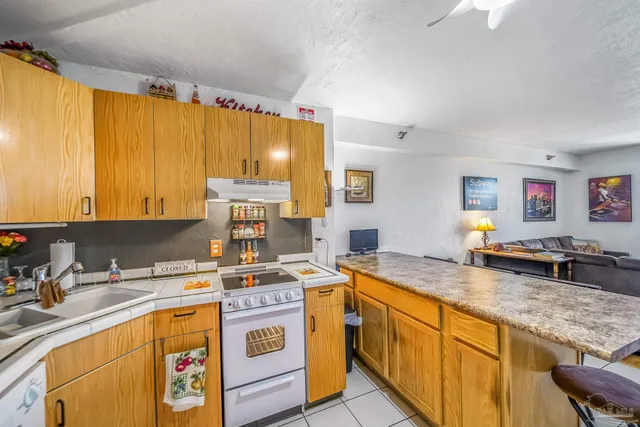 a kitchen with a stove a sink and a refrigerator