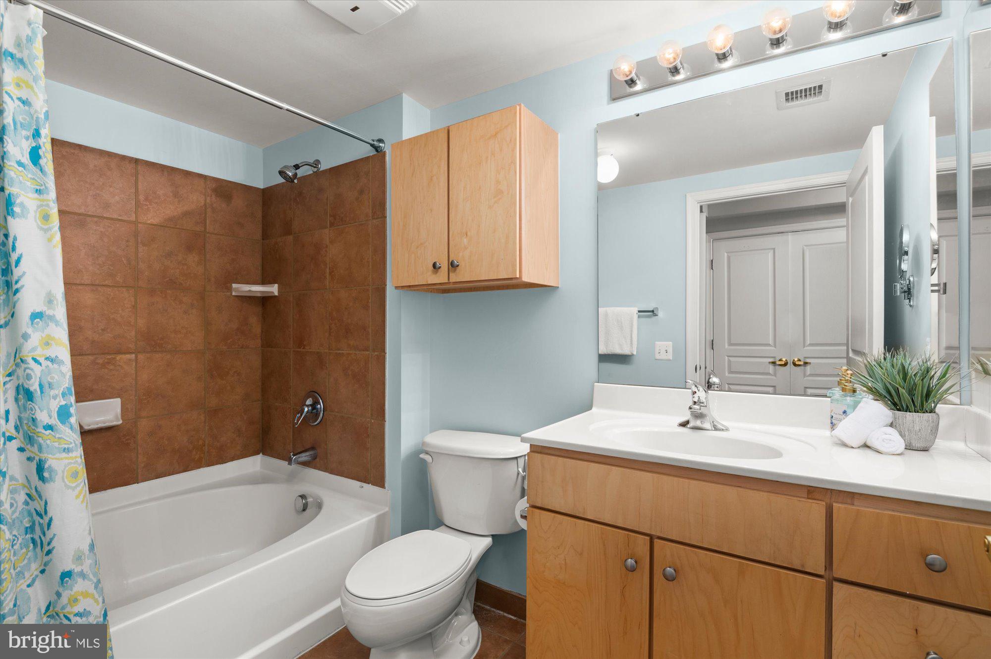 616 E Street Northwest, Unit 854 Washington, DC 20004 - Photo 27 of 87 Spa Bath with Soaking Tub and Closets