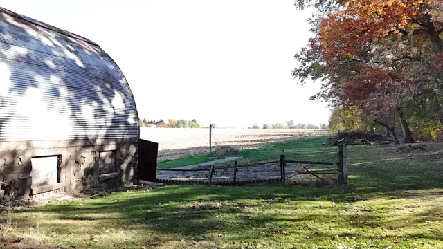 a view of a swimming pool with a garden and plants