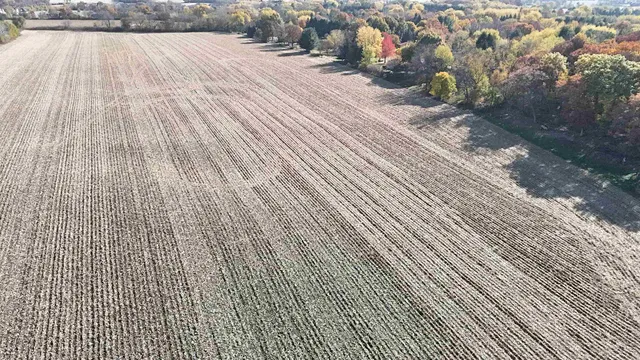 a view of wooden floor