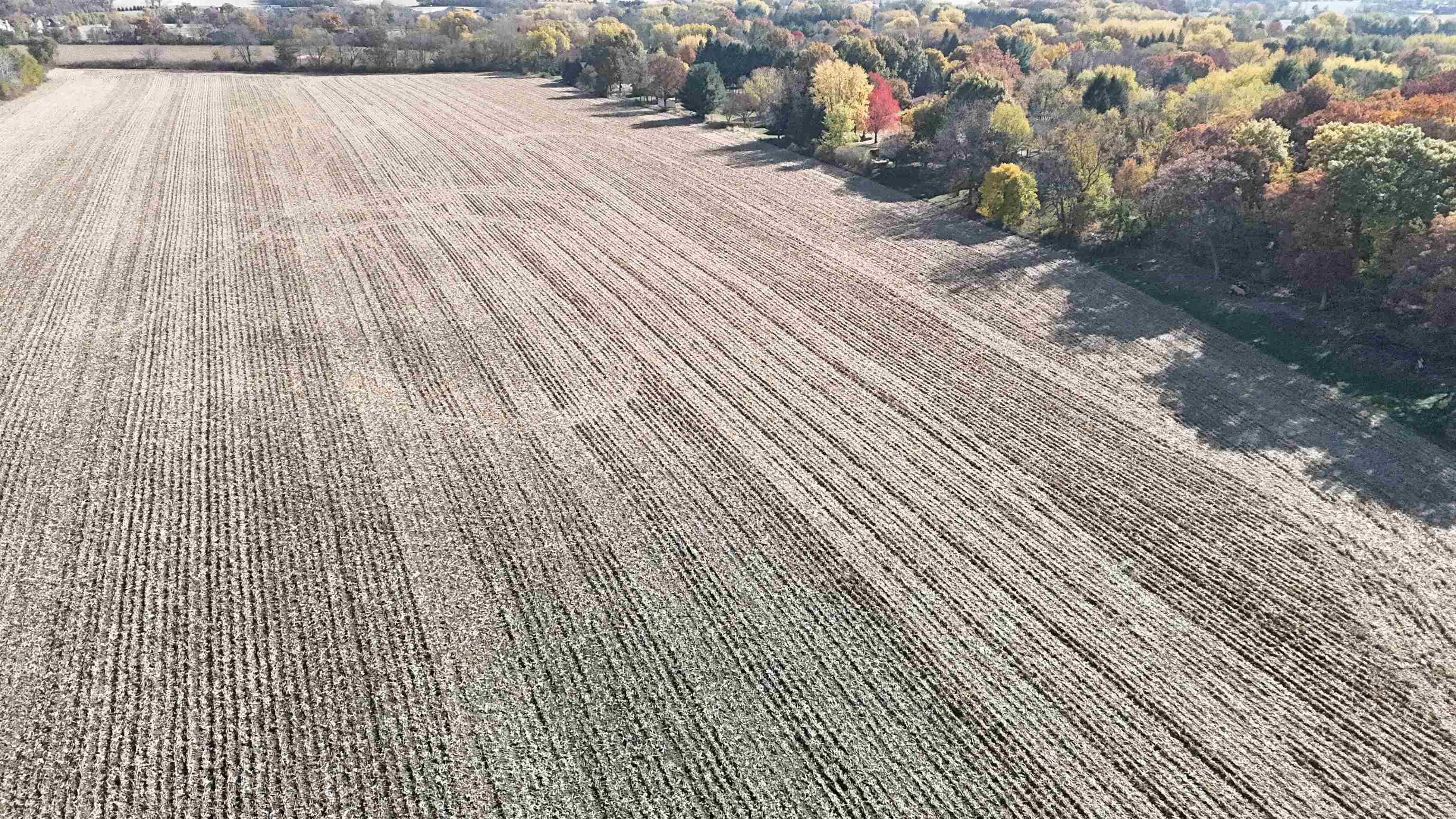 9729 Beaver Valley Road Belvidere, IL 61008 - Photo 32 of 55 a view of wooden floor