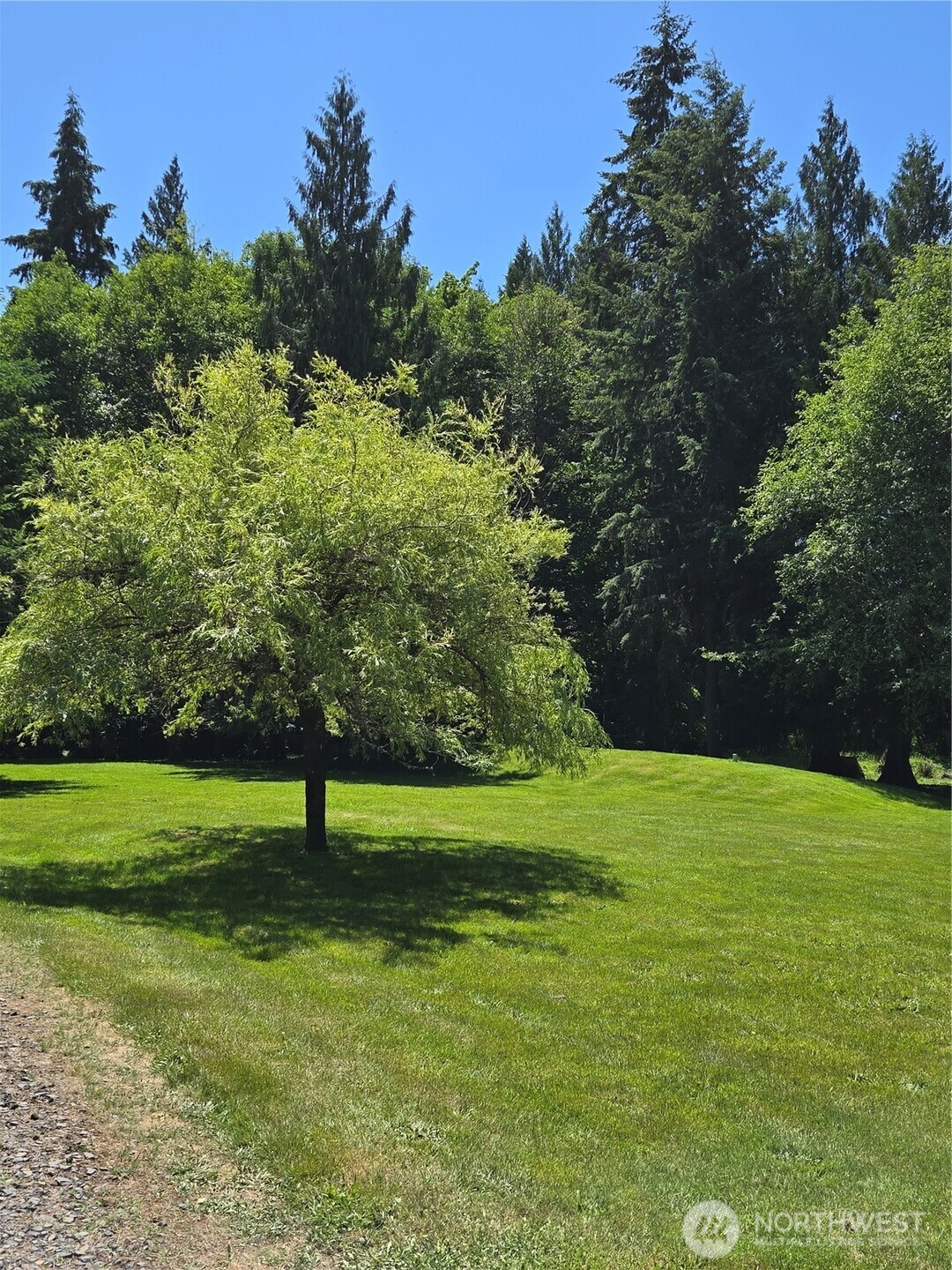 147 Tara Lane Vader, WA 98593 - Photo 35 of 38