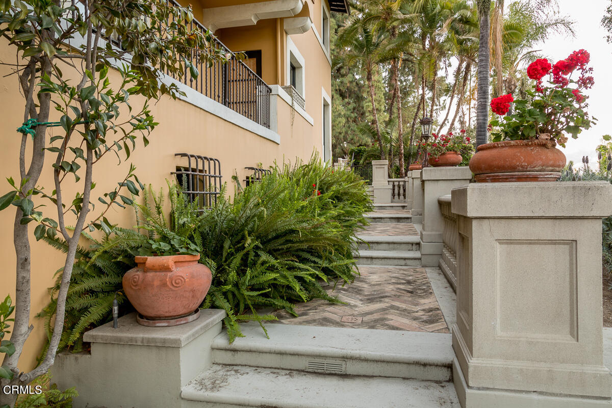 100 Los Altos Drive Pasadena, CA 91105 - Photo 66 of 72 a potted plant sitting on the side of a building